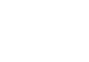 What The Cuts, AI content studio